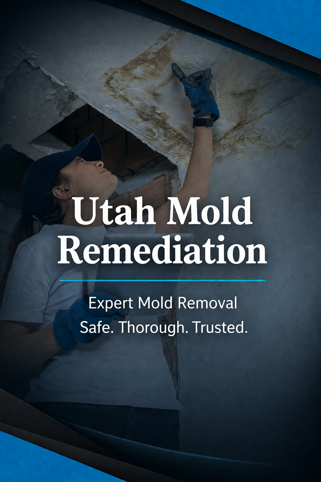 Mold Remediation in utah Plumbers in Utah