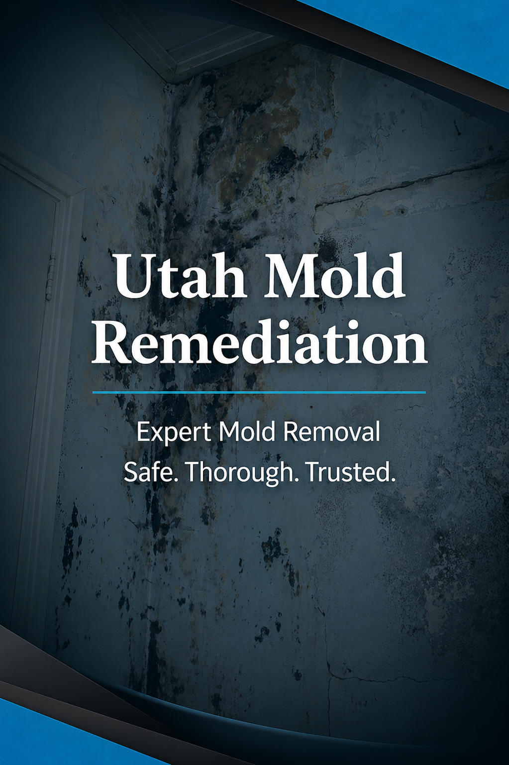 Utah Mold Remediation Utah water damage restoration & plumbing